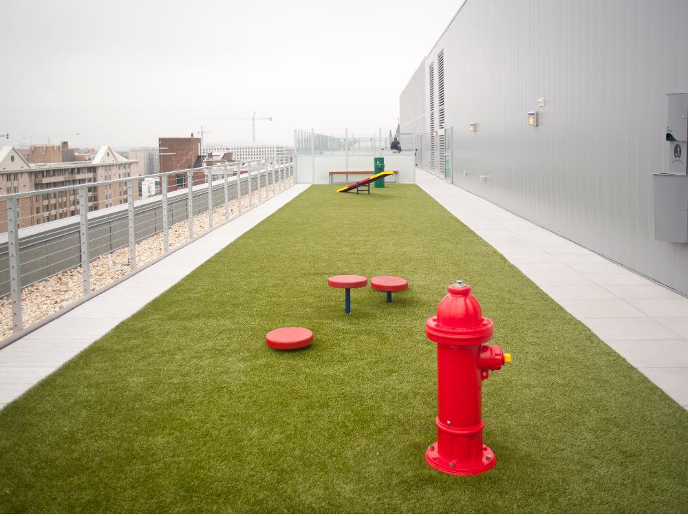 A rooftop dog run is one of the pet-friendly perks at a Washington,D.C., condo called City Market at O.