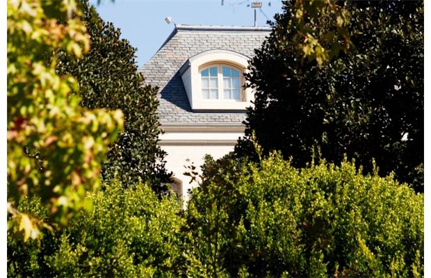 house covered by trees